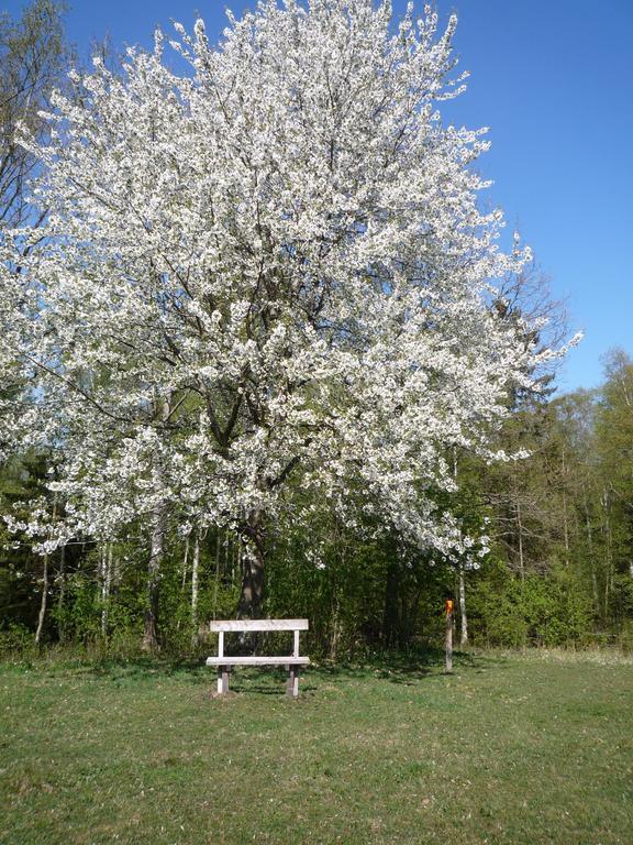 Valle Vandrarhem Axvall 外观 照片