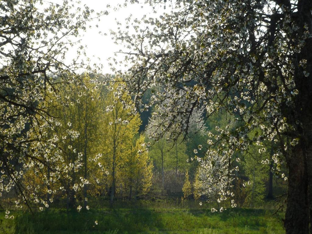 Valle Vandrarhem Axvall 外观 照片